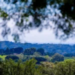 19ª Caminhada na Natureza – Circuito Capinzal (Edição Noturna) vai ter transporte gratuito até o local do evento