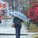 A Primavera chegou! O que podemos esperar dessa nova estação?