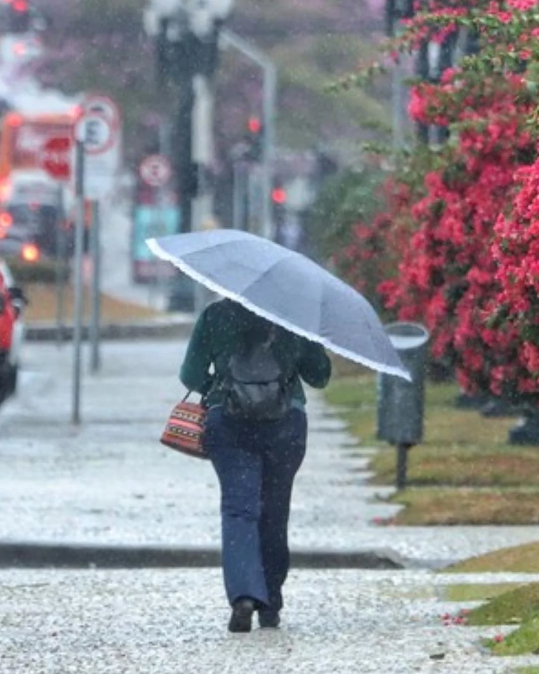 A Primavera chegou! O que podemos esperar dessa nova estação?