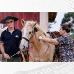 Campanha de vacinação de equídeos acontece entre os dias 28 e 30 de setembro