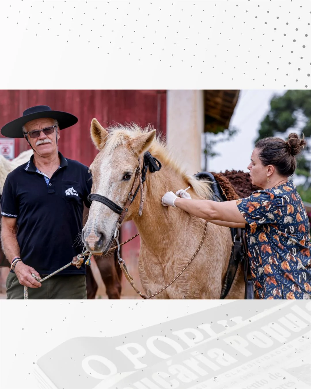 Campanha de vacinação de equídeos acontece entre os dias 28 e 30 de setembro