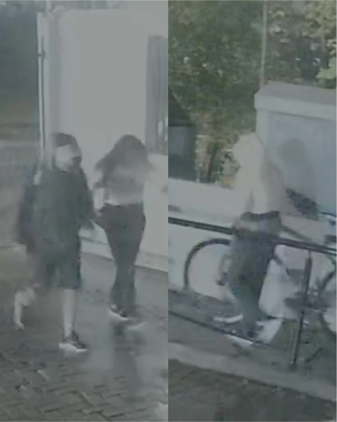 Casal invade condomínio e rouba duas bikes no Capela Velha