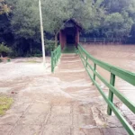 O que preciso saber sobre o El Niño e como devo me proteger?