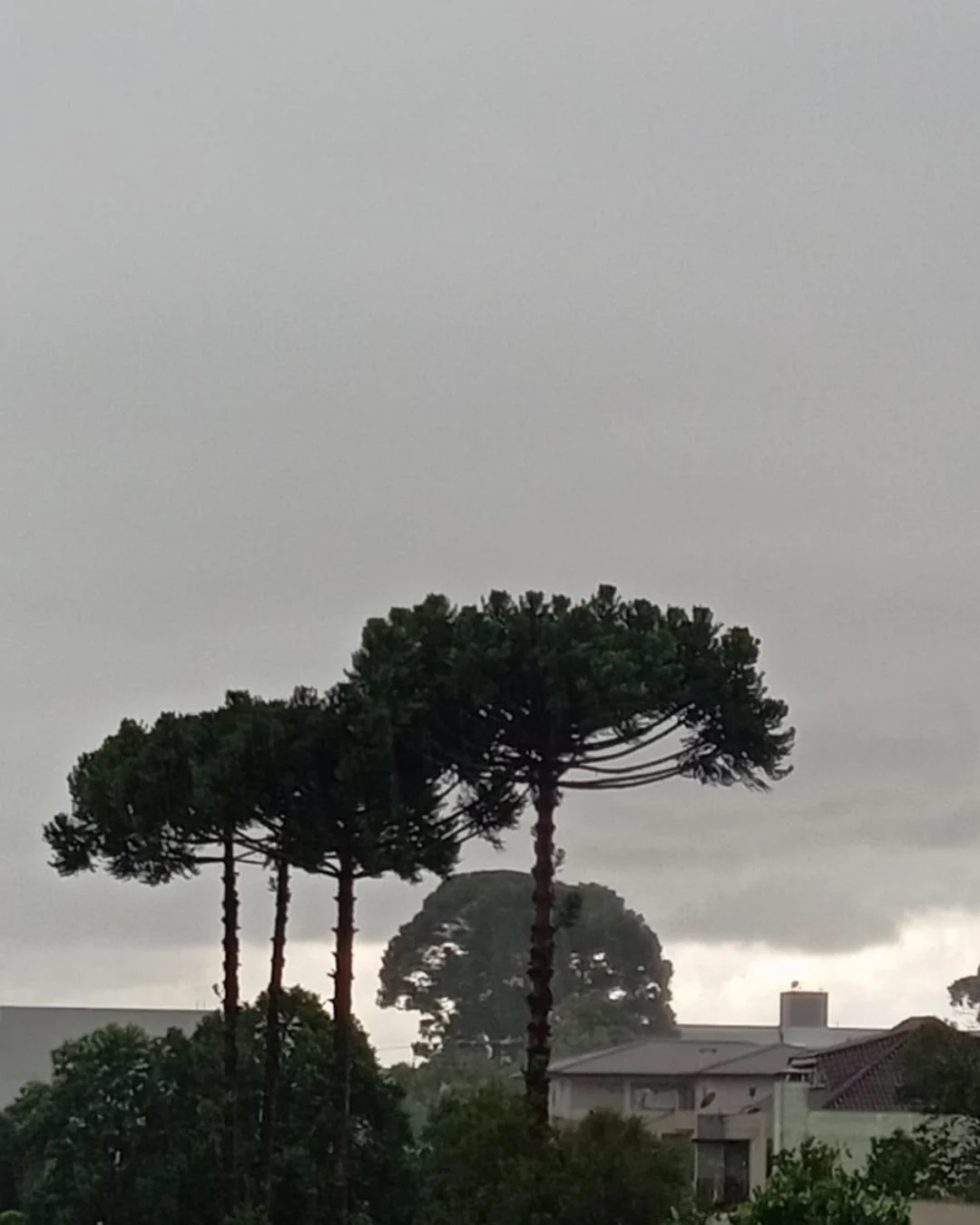 Pancada de chuva está prevista para atingir a cidade no sábado (5) com precipitação podendo chegar a 31.7 mm