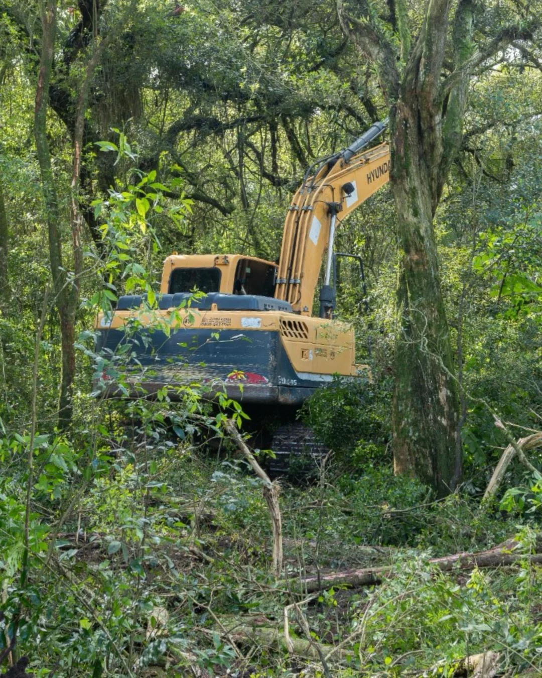 Prefeitura realiza limpeza de córrego para reduzir alagamentos no Jardim Maranhão