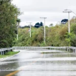 Prefeitura reforça segurança na Estrada de Guajuvira com implantação de guard rails