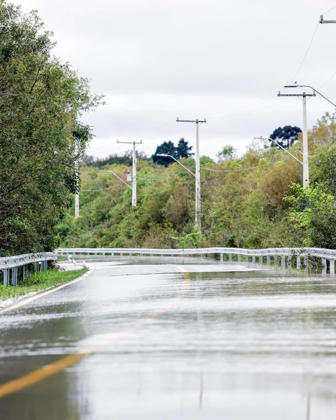 Prefeitura reforça segurança na Estrada de Guajuvira com implantação de guard rails