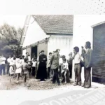Terezinha Poly: História do Supermercado Hemarivo