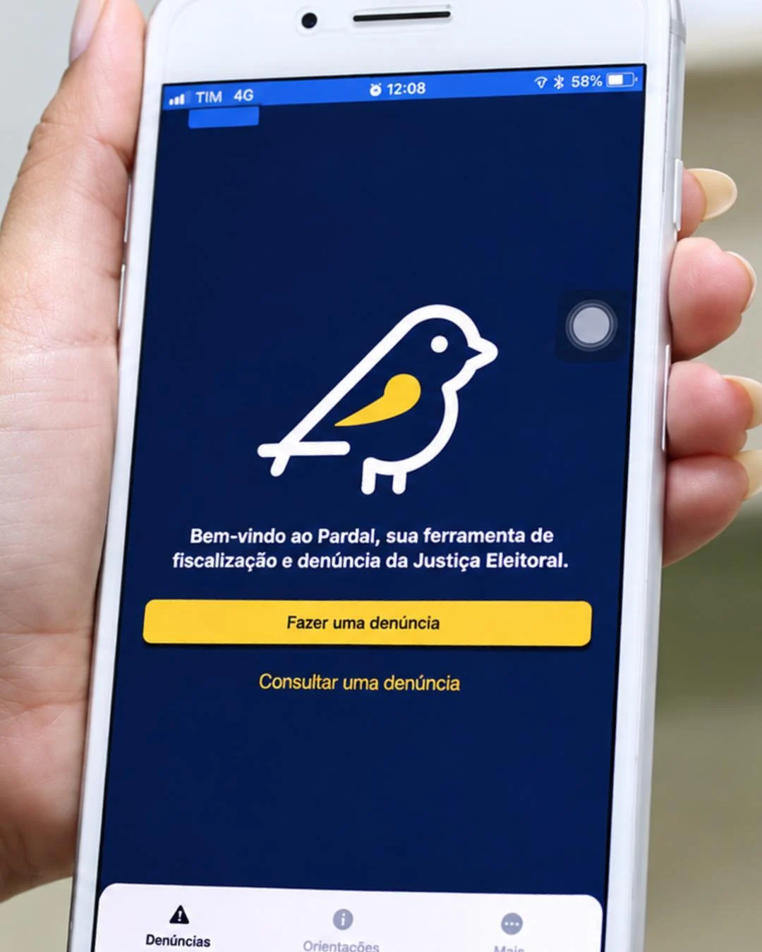 33 denúncias eleitorais foram registradas em Araucária neste domingo (4)