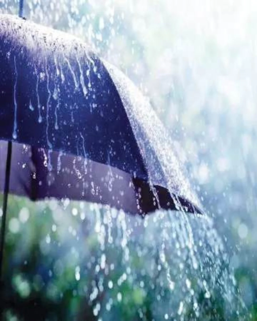 Araucária é selecionada e participa de curso nacional de prevenção a riscos climáticos