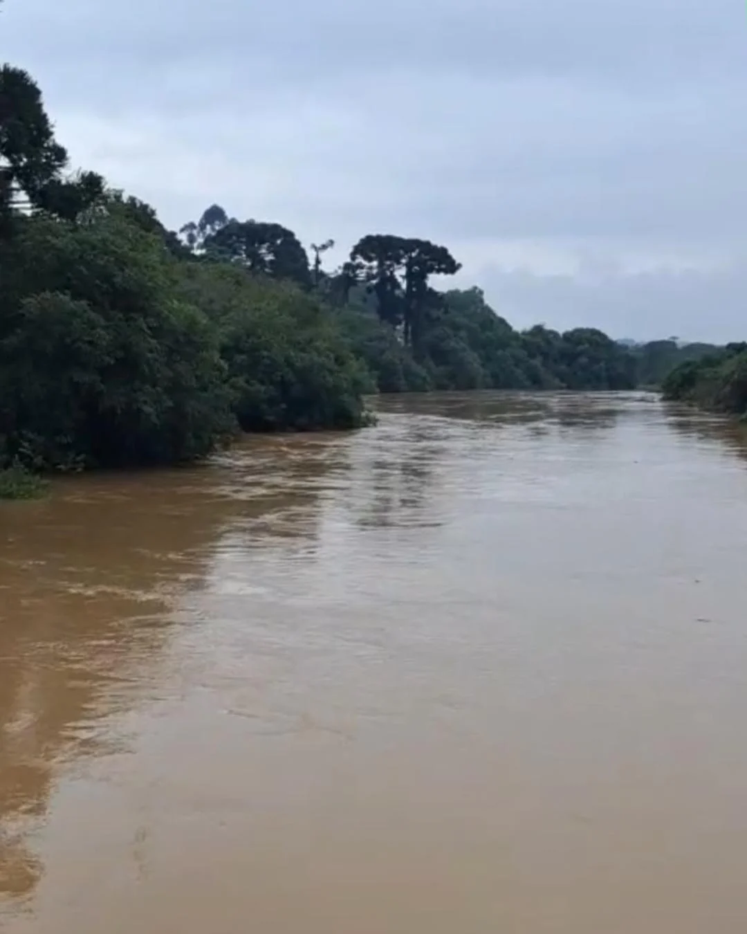 Guajuvira está com acesso interditado após aumento no nível do Rio Iguaçu