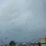 Após feriado de Nossa Senhora Aparecida, chuva continuará caindo na cidade
