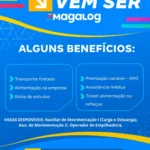 Magalog abre novas vagas para área de logística em Araucária