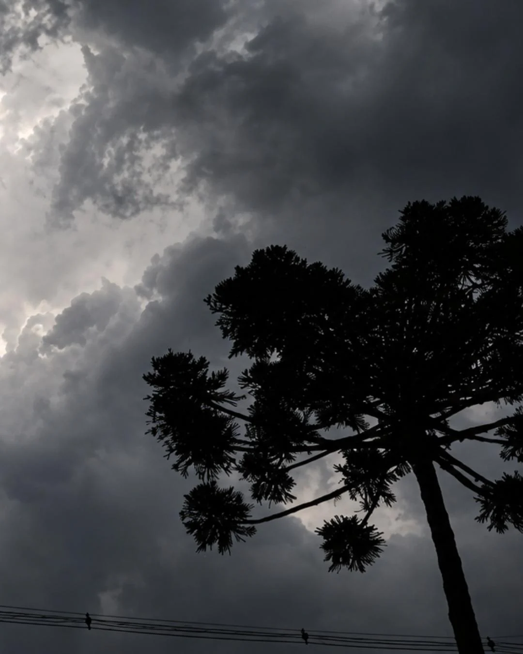 Temporal está previsto para atingir a cidade de Araucária nesta terça-feira (06)