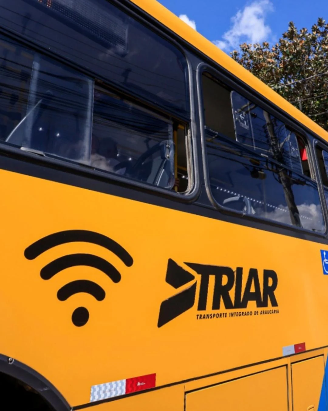TRIAR funcionará em horários de dia útil e com passagem grátis no domingo de segundo turno