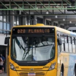 TRIAR funcionará em horários de dia útil no domingo de Eleições