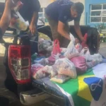 Turmas do 1° ao 5° ano do Colégio Marista de Araucária realizam ações sociais durante o Projeto de Intervenção Social